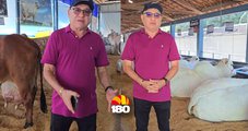 Deputado João Mádison destaca importância da pecuária do Piauí na ExpoZebu em MG