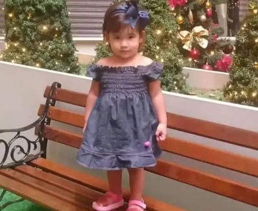 THE: Menina de três anos é vítima de agressão e tem morte encefálica investigada