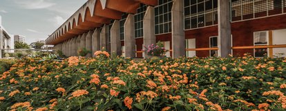 Sede da Assembleia Legislativa do Piauí, parte das flores amarelas, vista da Alepi