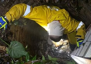 Cachorro cai em poço de 4 metros e mobiliza operação de resgate