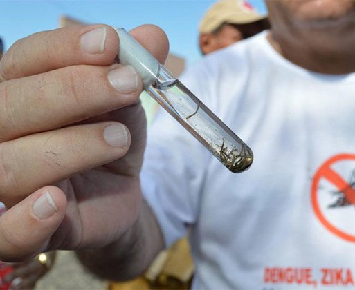 Prefeitura institui comitê técnico para combater casos de dengue em Teresina
