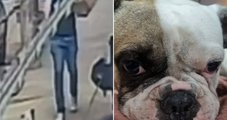 Redes sociais/ Reprodução