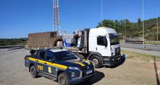 A Polícia Rodoviária Federal (PRF), em ação conjunta com o Instituto Mineiro de Agropecuária (IMA) e a Vigilância Sanitária de Oliveira, apreendeu aproximadamente 4.160 litros de cachaça na tarde da última terça-feira (28/07). A carga era transportada em 208 bombonas plásticas de 20 litros, todas reutilizadas de embalagens originalmente destinadas ao armazenamento de agrotóxicos, e foi flagrada du