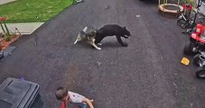 Jeffrey Tazzara/Storyful/Reprodução