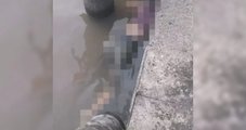 Adolescente de 17 anos desaparecida em Belém é encontrada morta no Terminal Hidroviário