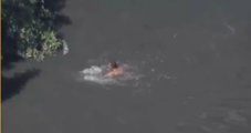 Homem pula no Rio Tietê e foge nadando durante perseguição em Barueri