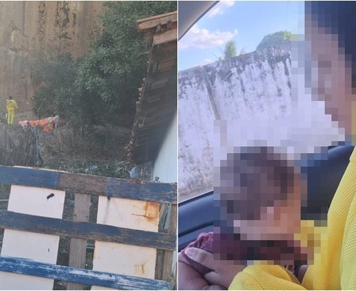Mãe com bebê são resgatados durante ataque de abelhas e cadela morre em Oeiras